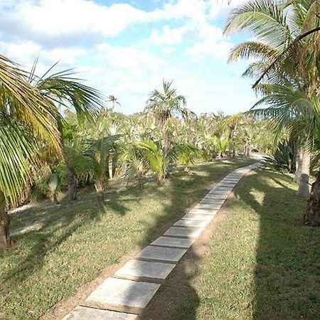 Rocks Retreat By Eleuthera Vacation Rentals North Palmetto Point Exterior foto