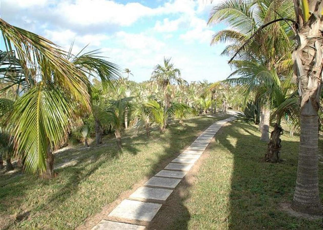 Rocks Retreat By Eleuthera Vacation Rentals North Palmetto Point Exterior foto